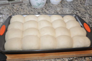 Dinner rolls proofed and ready to bake.