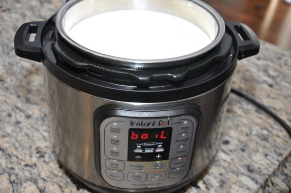 Boil milk in Instant Pot.