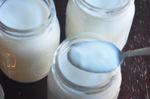 add culture to milk to make yogurt.