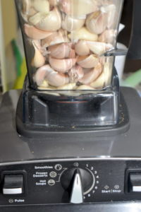 garlic cloves in vitamix blender.