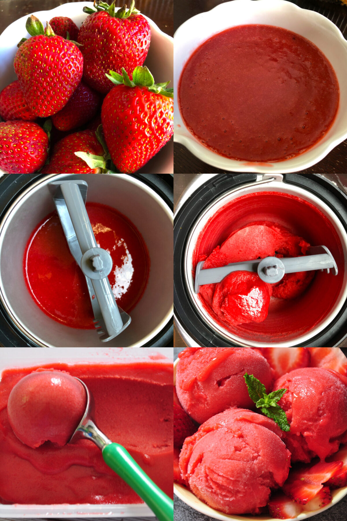 strawberry sorbet collage