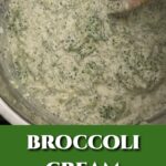 broccoli cheese dip.