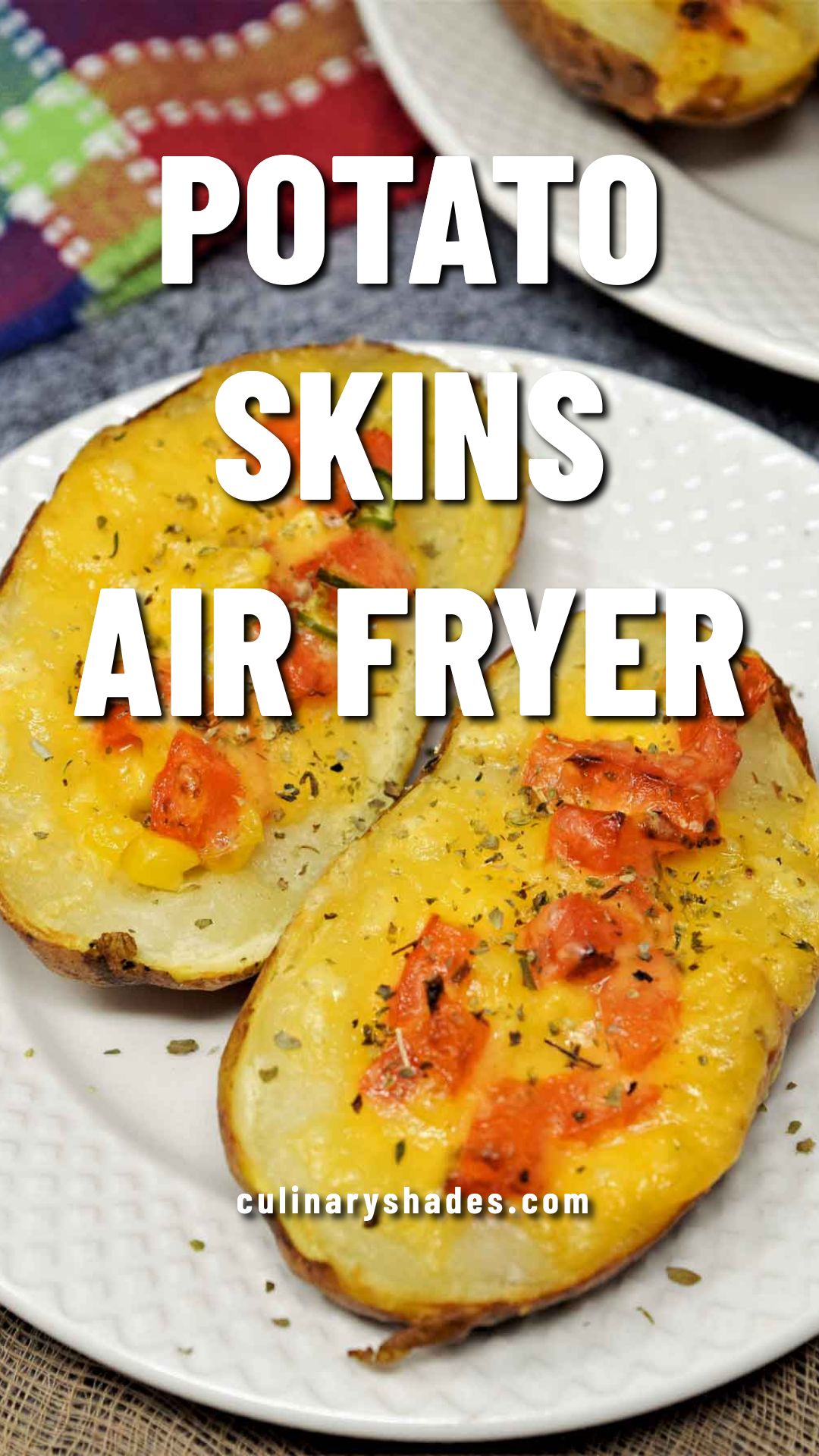 air fryer potato skins.