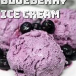 Blueberry ice cream scoops.