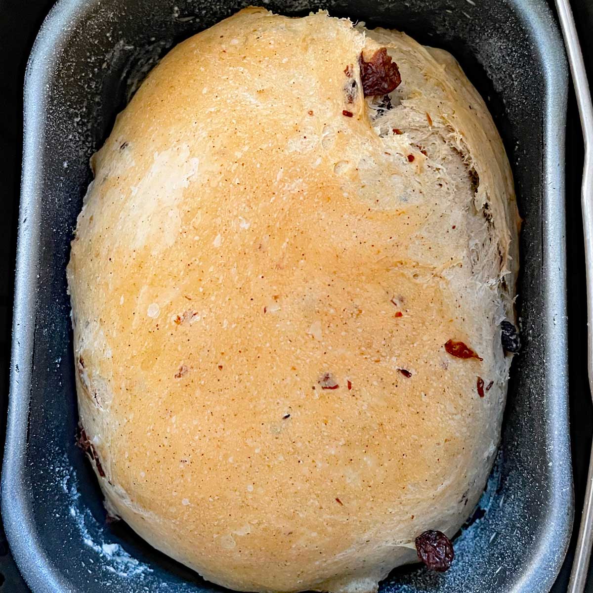 Baked Cinnamon raisin bread in pan.