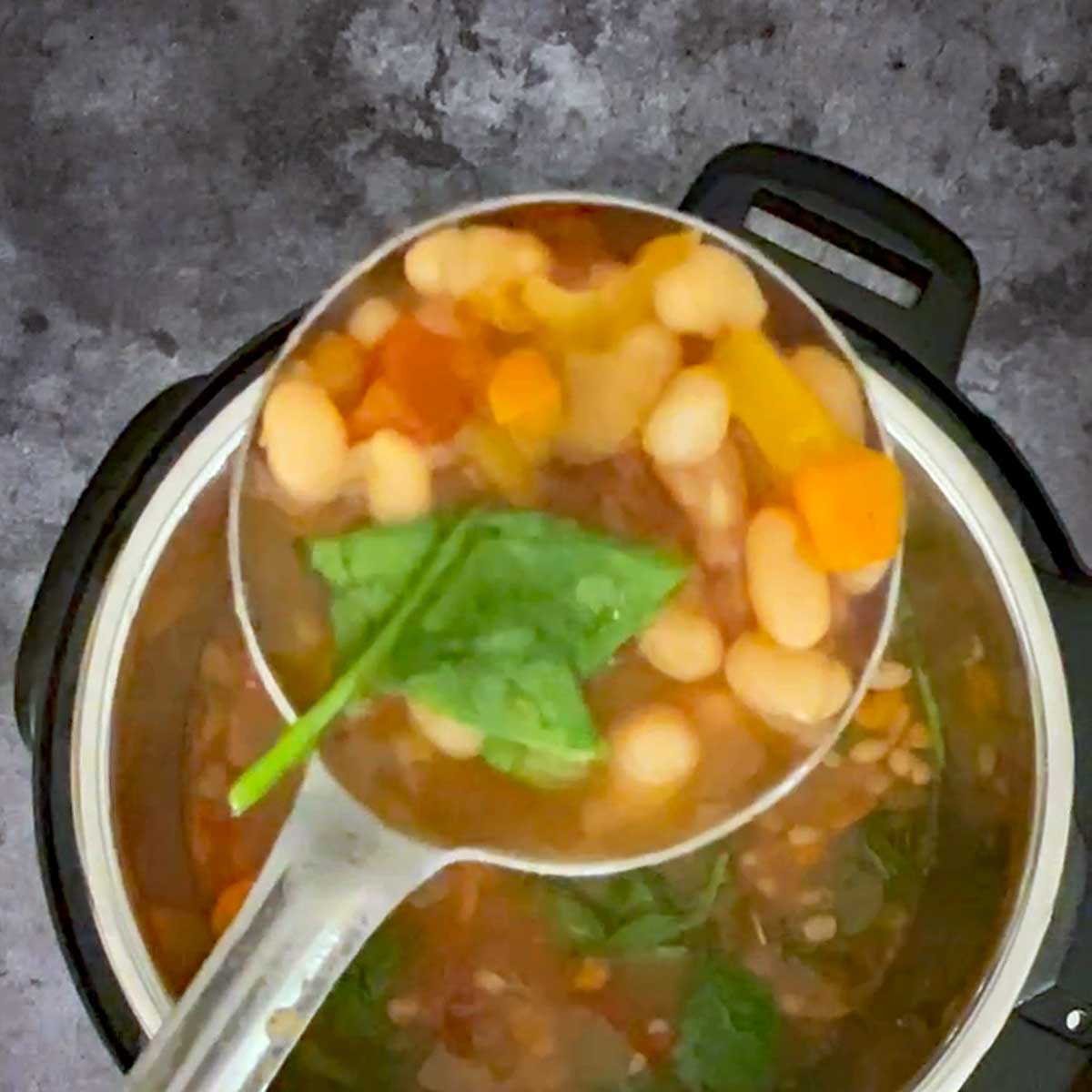 Navy bean soup in a ladel.