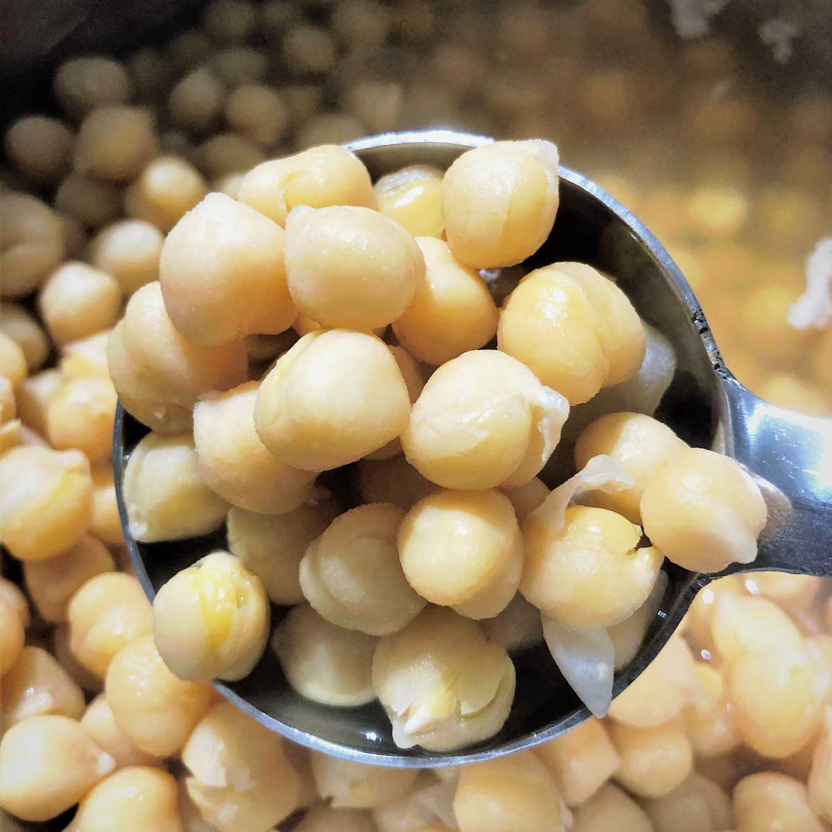 Boiled chickpeas for Hummus.