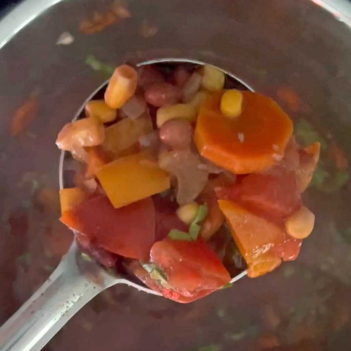 Tortilla soup in a ladle.