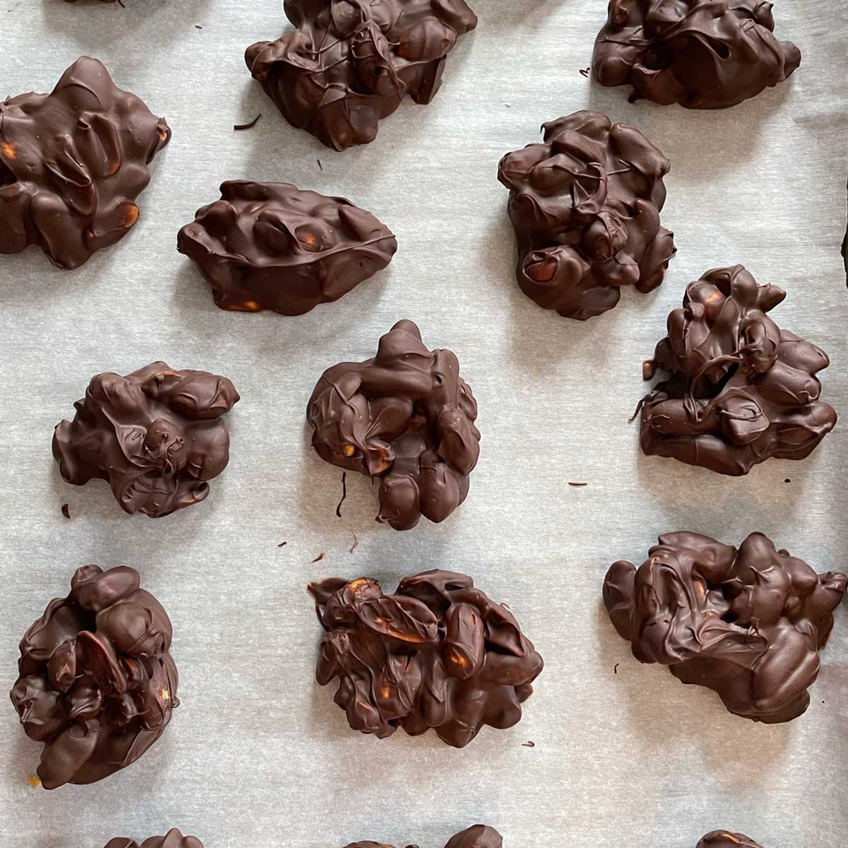 Chocolate covered peanuts dried.