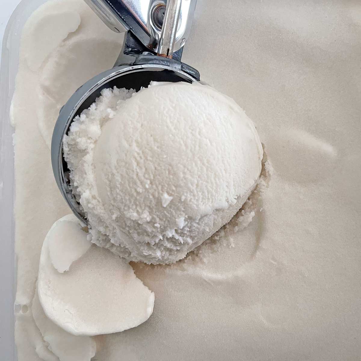 Coconut milk ice cream scoop in container.
