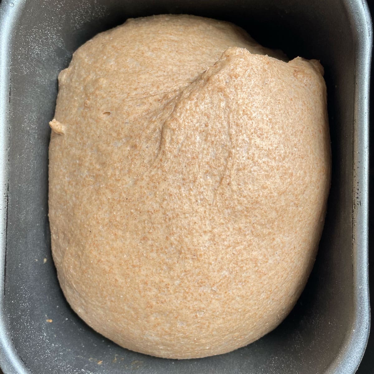 Wheat bread dough rise in bread pan.