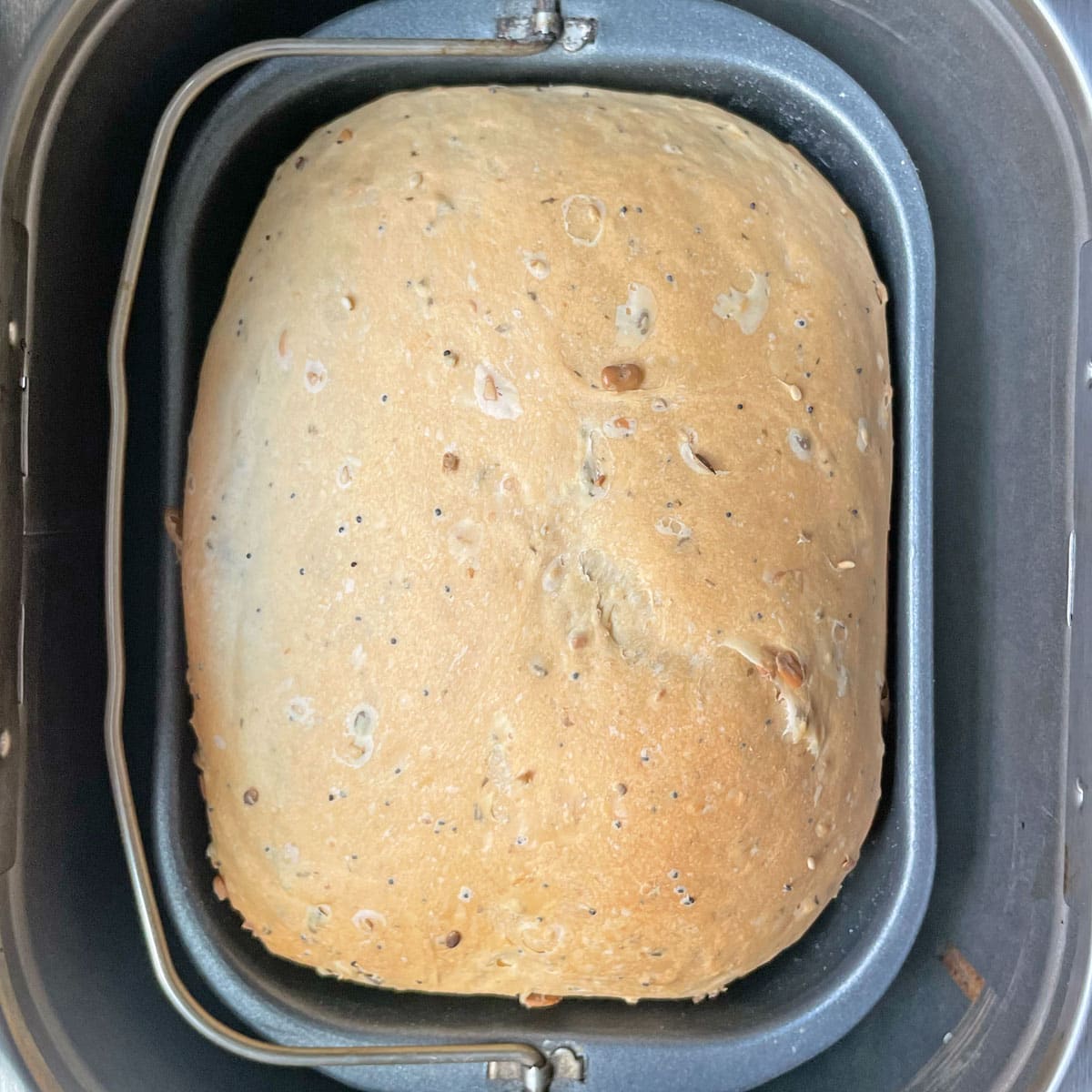 Baked seed bread in bread machine.