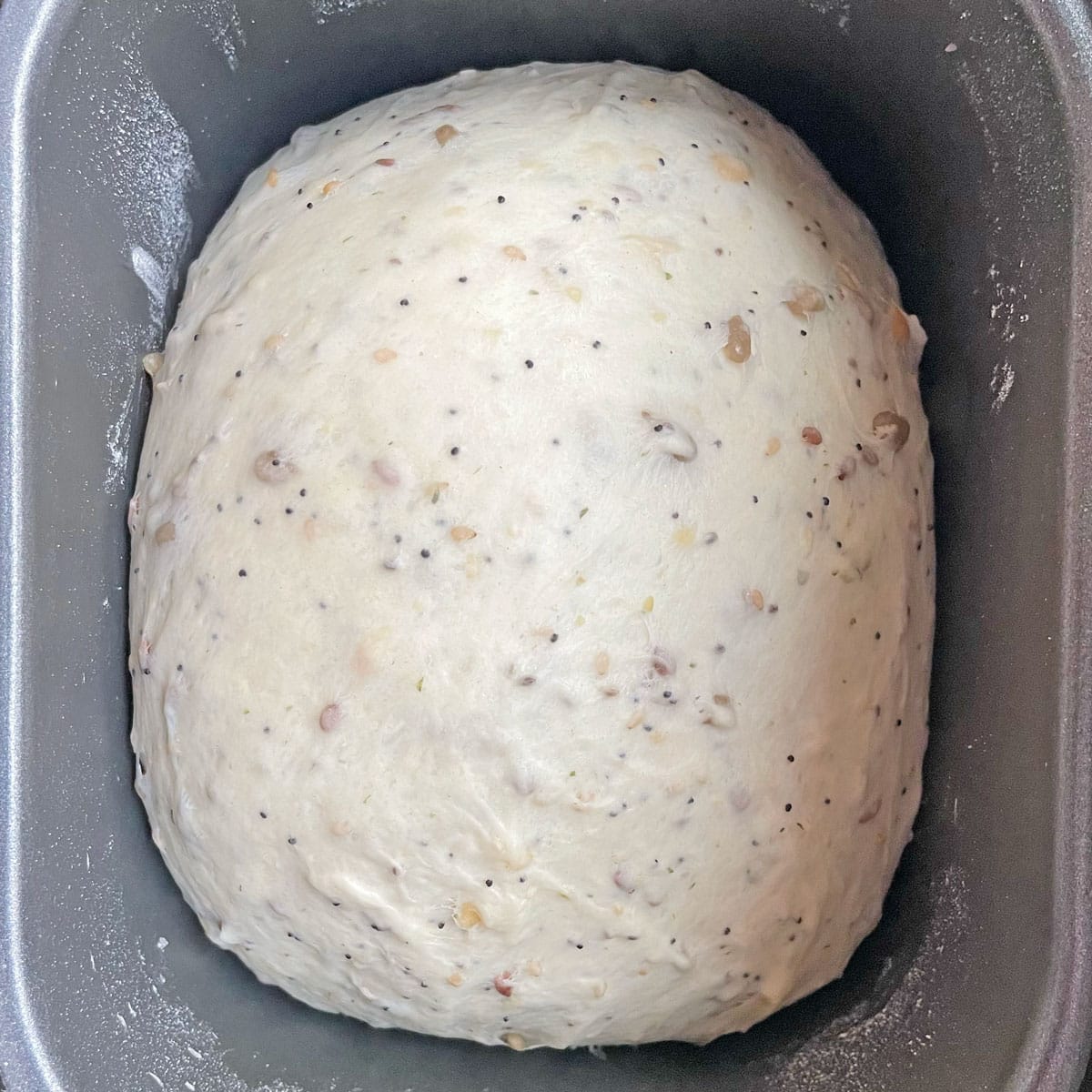 Seed bread dough rise in bread machine pan.