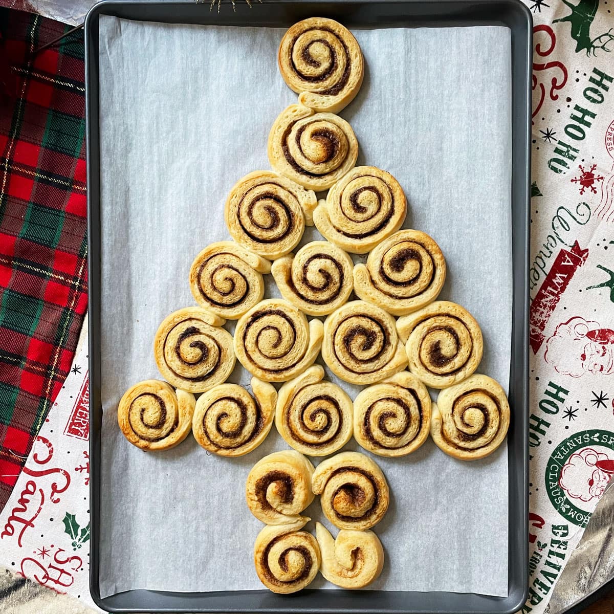 Baked cinnamon rolls in a tray and arranged as Christmas tree.