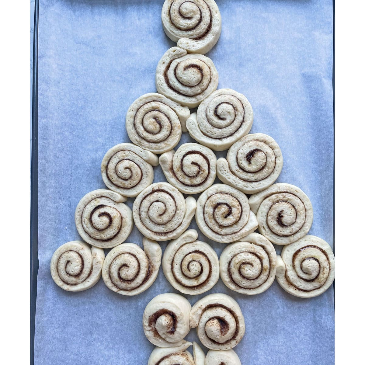 Cinnamon Rolls arranged as Christmas tree and ready to bake.
