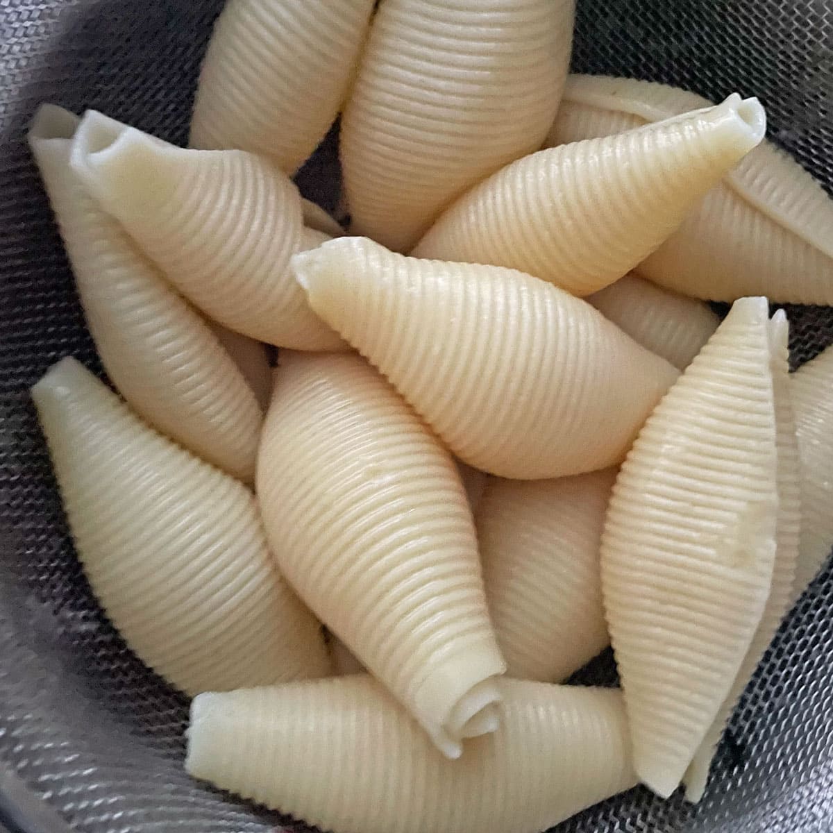 Boiled pasta shell.