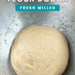 fresh milled flour dough.