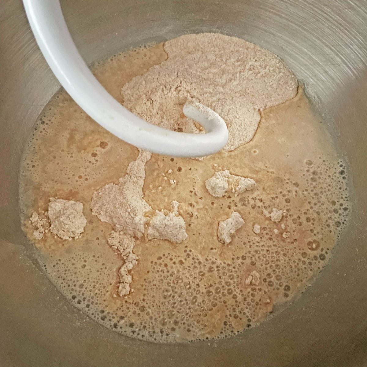 ingredients being mixed for fresh milled flour roti dough.