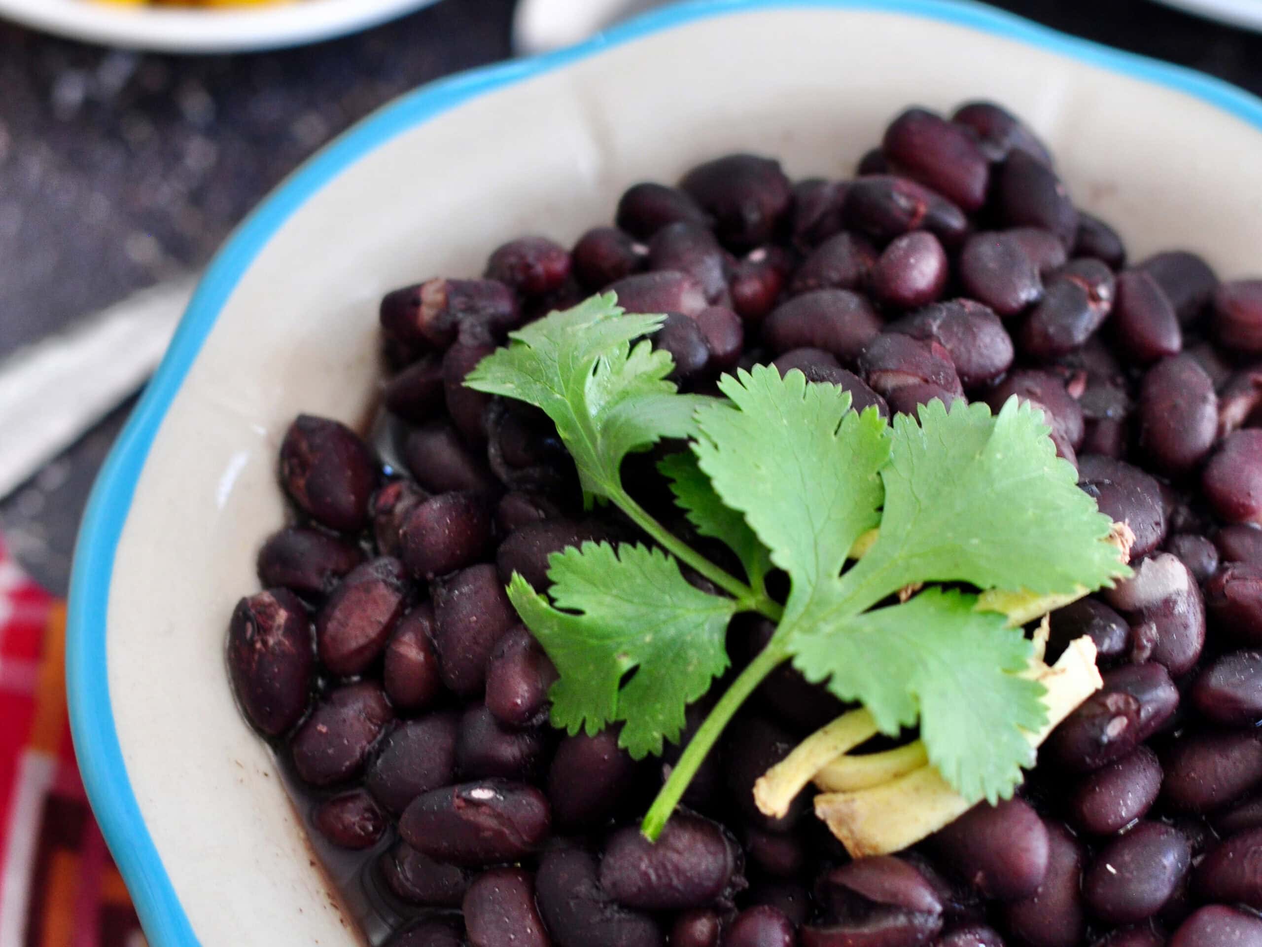 black beans in a bowl garnished with cilantro.